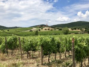 Private Tuscany tours